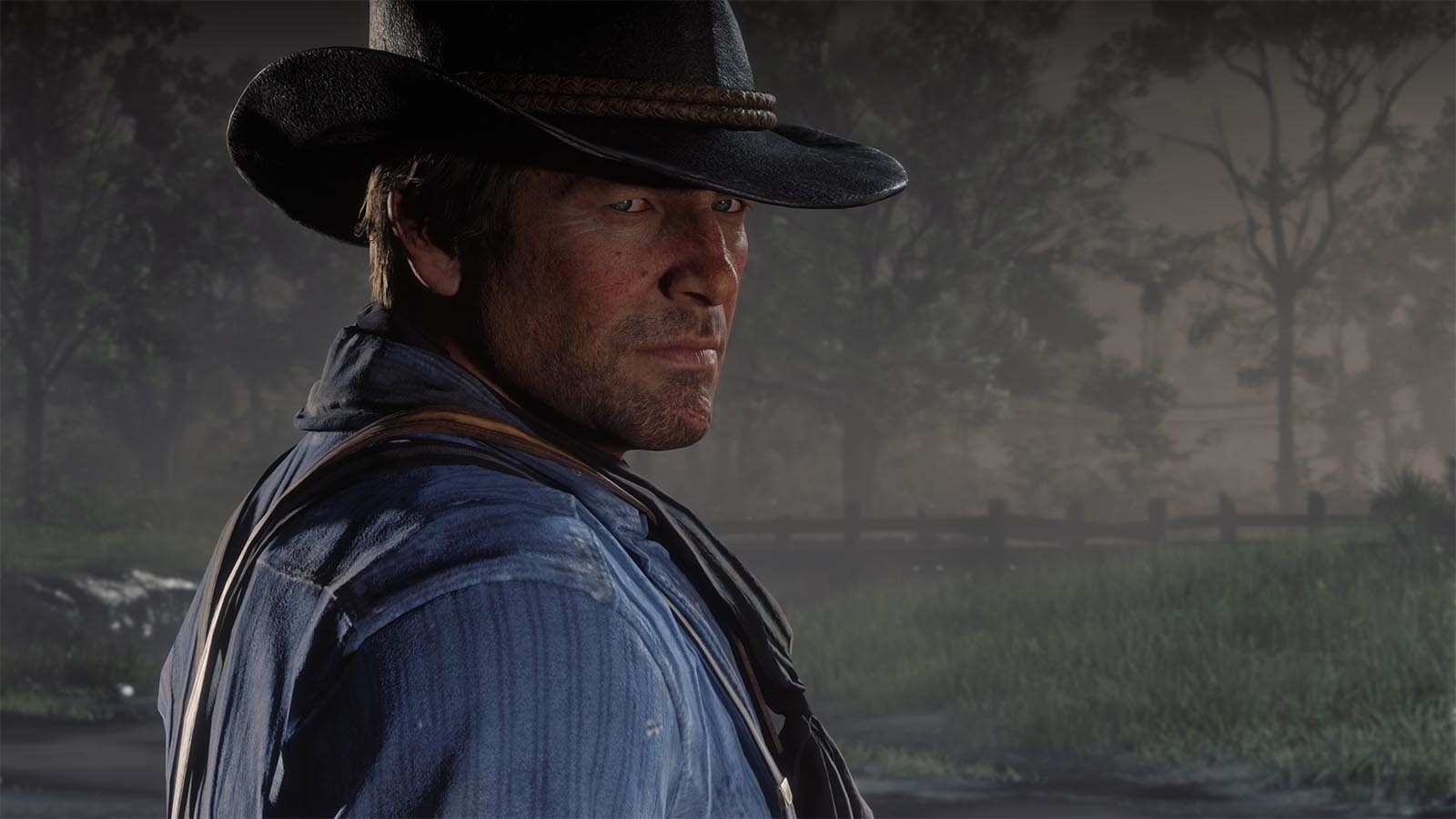 Arthur Morgan wearing his signature hat, looking back over his shoulder towards the camera.