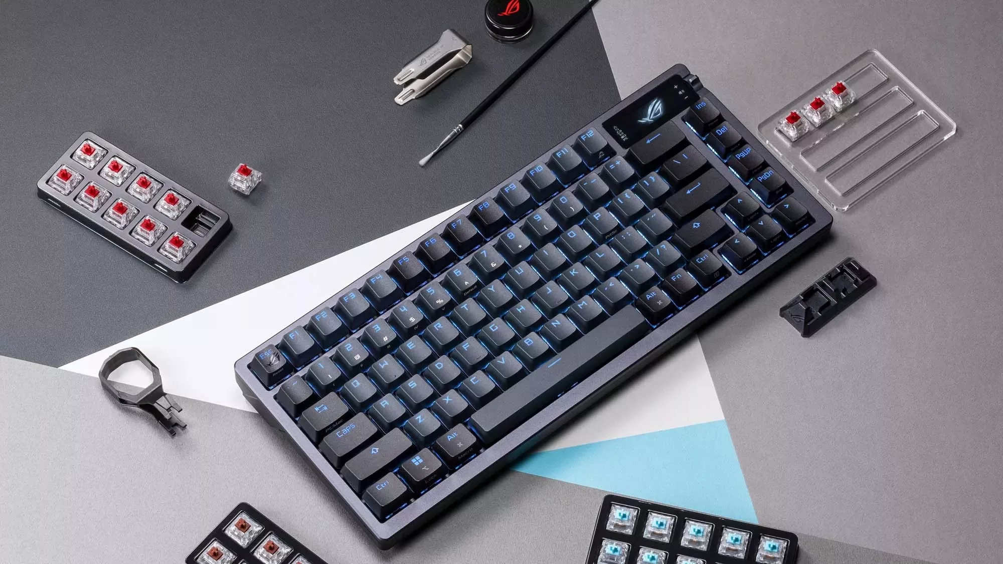 ROG AZOTH: Was die neue mechanische Custom-Tastatur besonders macht und wie du deine Switches lubst